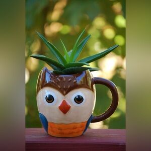 Owl Shaped High Quality Ceramic Mug/Planter